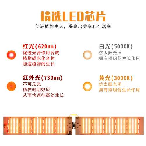 厂家 led全光谱植物灯家用多功能促进补光生长灯室内种植灯