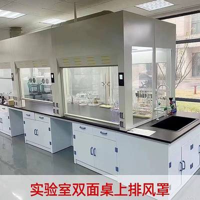 实验室桌面排风罩桌上型双面通风柜集气罩通风管道双联pp通风橱