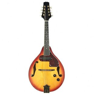 电声曼陀林 曼陀铃 藏族西洋乐器 电八弦琴带拾音器配件