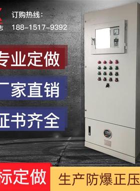 防爆正压柜PXK正压防爆柜通风型正压柜PLC配电柜变频柜9U防爆柜