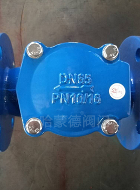 sfcv法兰式橡胶瓣止回阀hc44x-10/16 DN50 65 80 100 150 200 300