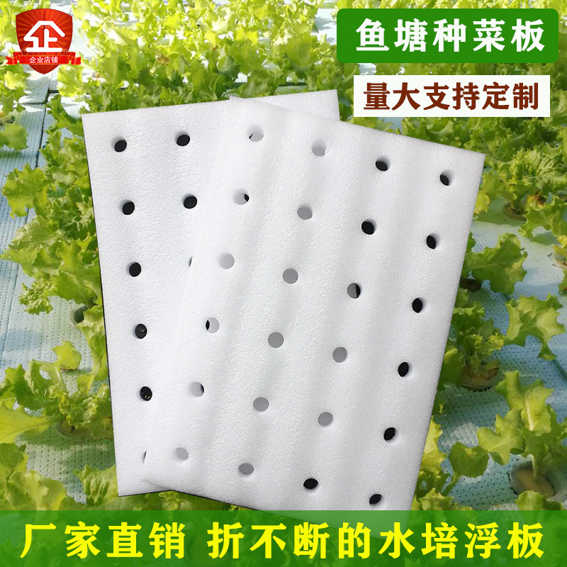 水培蔬菜定植漂浮板鱼菜共u生浮床无土栽培设备鱼塘水上种菜泡沫