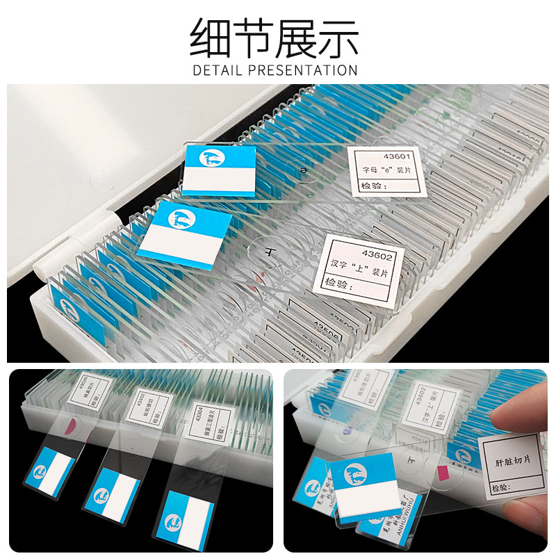 生物切片永久装片人血涂片人体四大组织字母e上字初高中神经装片