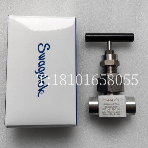 高压阀SS-6DBSW8T-G高温高压截止阀 swagelok 世伟洛克阀门承插焊