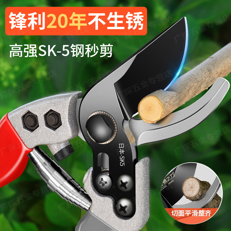 日本sk5园林剪树枝专用剪刀园艺修果树木花园修枝剪子省力家用