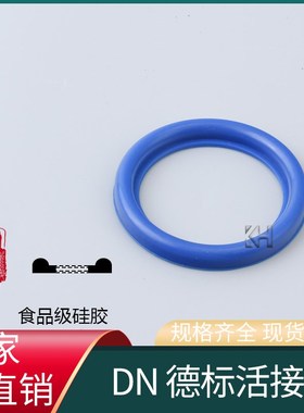 DIN活接头密封圈/蓝色硅胶DN密封垫片/卫生级O型圆螺纹焊接活接垫