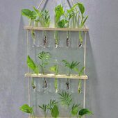 壁挂式 玻璃花盆容器办公室家庭墙面装 饰现代木架3层15个试管花瓶