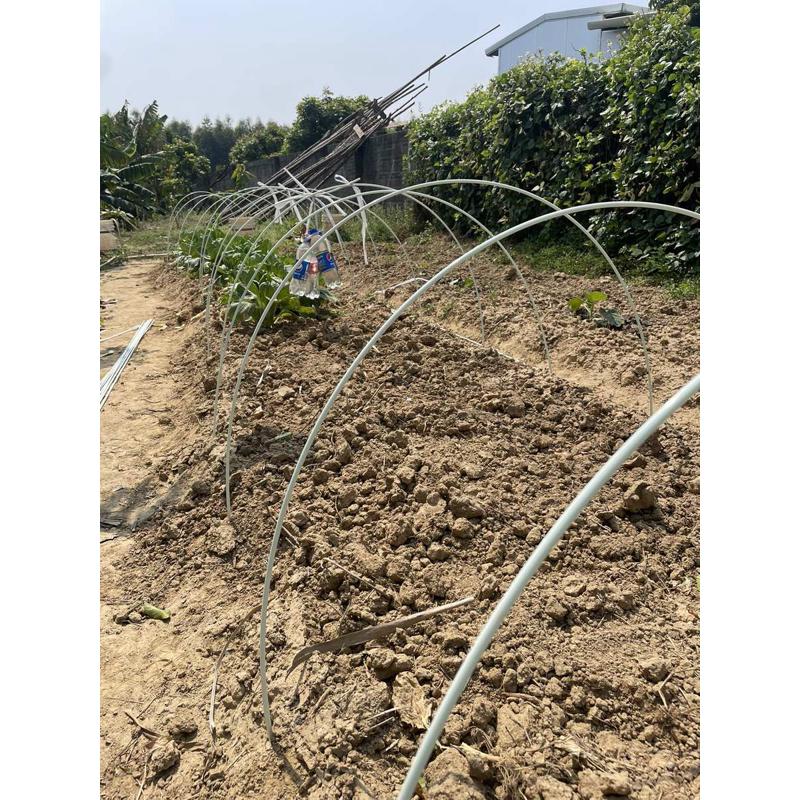 优杆杆锚固挂面支架杆棒棒农用恵A玻璃纤维拱棚50扶拱棚支拍小苗