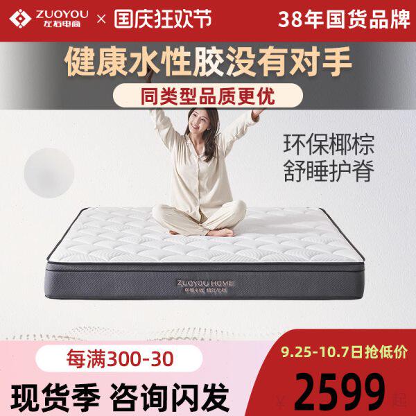 左右弹簧床垫天然椰棕厚23cm家用护腰护脊3E环保抗菌亲肤DZM6017