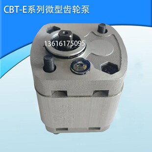 E100.45 齿轮泵CBT E100.38 E100.26 E100.60E100.75TRYY E100.19