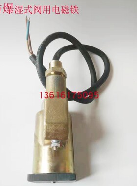 EX 防爆湿式阀用电磁铁 BMFB-25BY BMFB-40BY 8GY BMFB1-4Y 5.5Y