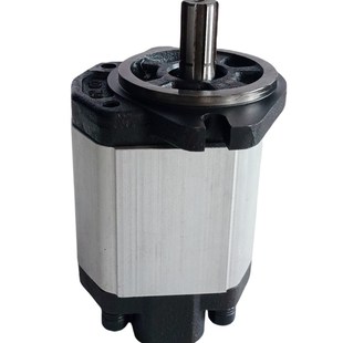 BHP3A1 BHP3A0 BHM3B1液压泵 BHP3B1 博顿油泵Boden齿轮泵BHP3B0