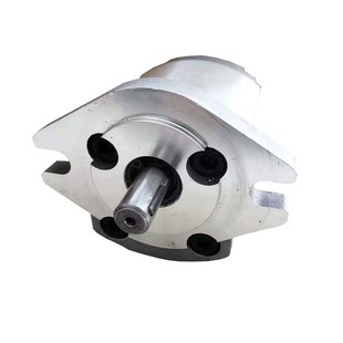 04R 0R5 09R 02R HONOR齿轮泵 08R 03R 07R 液压油泵1AG1P02R 06R