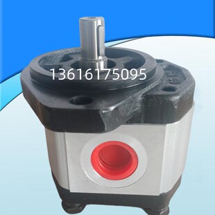 212 200 4.5D880 100 250 300 液压中性齿轮泵AP200 312