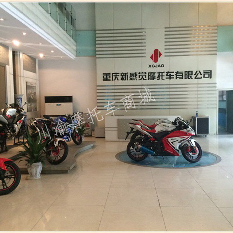 新感觉摩托车250-28/R9液晶仪表仪表R9原装仪表里程表转速表