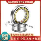 日本进口GAL 圆柱滚子轴承耐高温机械设备 419EW NJ417 418