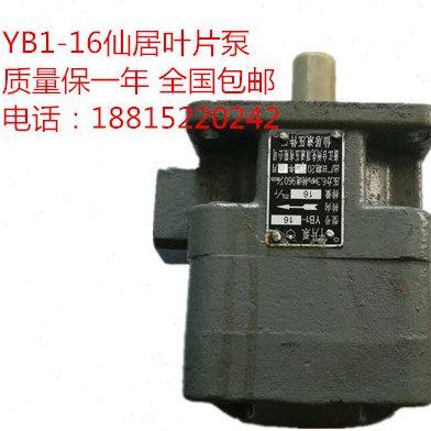 YB1-16叶片泵 油泵 仙居先顶质量保一年