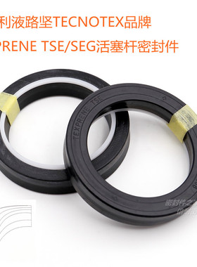 意大利液路坚TECNOLAN TSE/SEG型密封圈 内径70/72/75/76/77/78mm