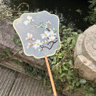 刺绣团扇古风扇子古风团扇子舞蹈扇古典舞扇子双面绣团扇舞蹈专用