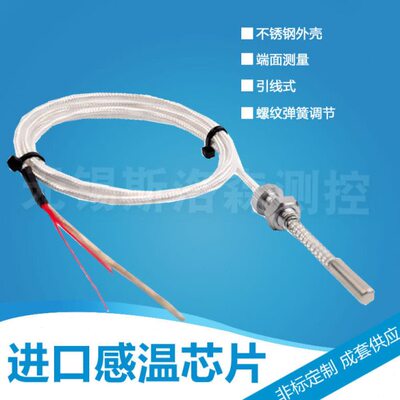 端面热电阻  轴承测温探头 WZPM-201热电阻 PT100 铂热电阻PT1000