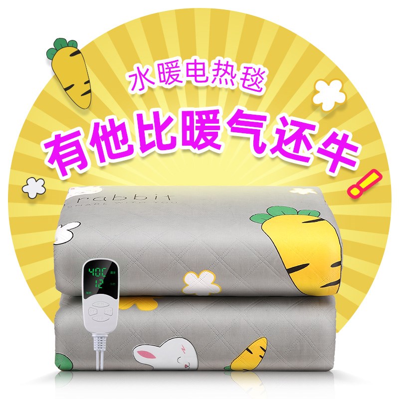 水暖电热毯双人双控调温r电褥子安全辐射无家用正品单人宿舍水循