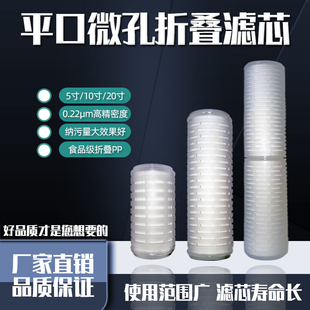 PP微孔折叠膜5寸10寸r20寸平口通用折叠滤芯0.22微米精密过滤器芯
