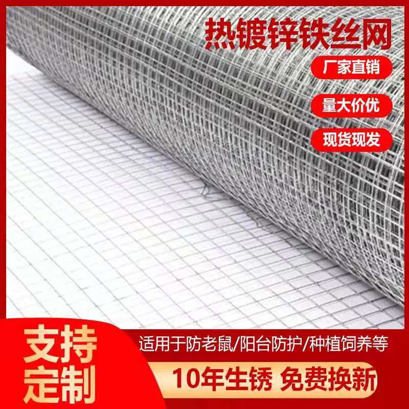 热镀锌电焊网铁丝网围栏家禽养殖网养鸡多肉防护网防鼠阳台护栏网