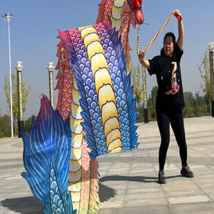 舞龙彩带健身龙广场舞手甩龙身中老年人耍龙头道具运动表演中国龙