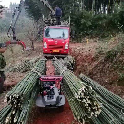 爬山机运输车小型农用车爬坡搬运机手扶全地形运输果园水田运秧机