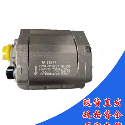 齿轮泵CBKL-G2200BL CBKL-G2250BL CBKL-G2075举升机动力单元油泵