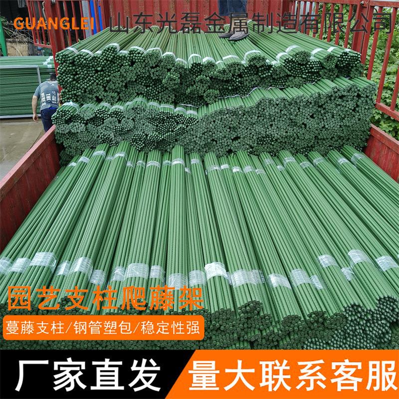 植物爬藤架包塑钢管园艺支架植物爬藤架花架葡萄架黄瓜豆角架