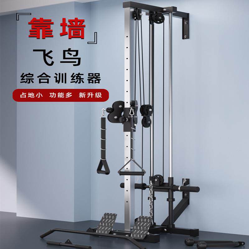 双滑轮多功能墙体飞鸟综合训练器低拉划船机高位下拉练背部的器械