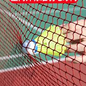 羽毛球标准网室内外简易羽毛球网便携式 家用折叠比赛球馆场地拦网