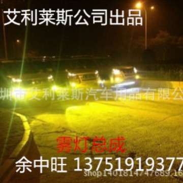 东风雪铁龙雾灯双光/单光透镜氙气灯总成