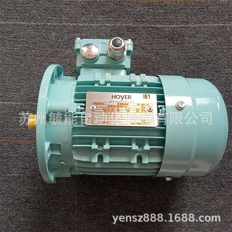 Hoyer MS112M1-4 电机4kW