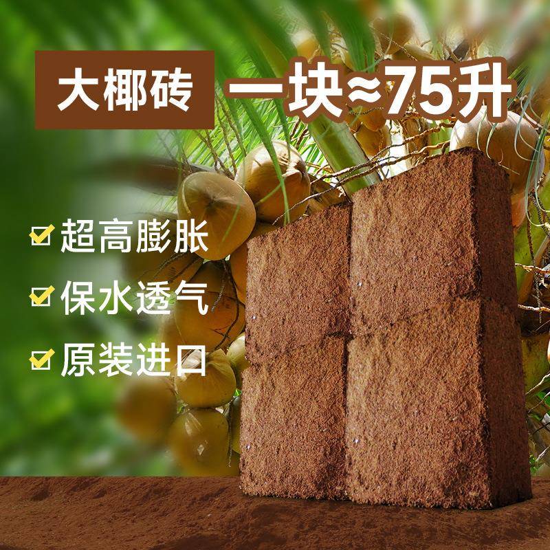 栽培基质泡发低盐高发泡量园艺水培种植无土栽培育苗用压缩大椰砖