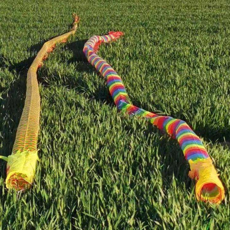 中老年人健身龙高杆健身龙高空舞龙筒子龙彩带龙空竹甩龙长龙彩虹