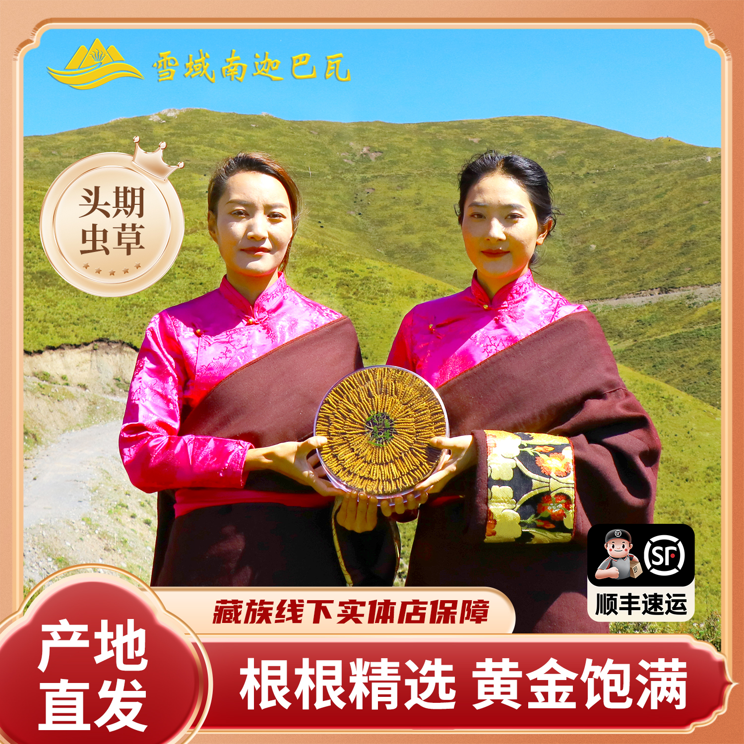 【御品级虫草】西藏那曲野生冬虫夏草5A级甄选纯净环境孕育好草