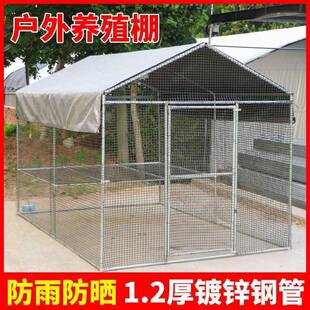 笼鸭棚搭建养殖笼养鸡隔床家用家禽鸡舍鸡笼户外防雨室外农村