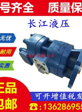 四川长江CBGF2050-343L GPC4a-50-20-20-D8R GPC4a-63-20-20-D8