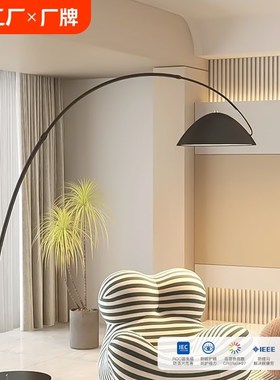 钓鱼灯落b地灯2024新款客厅沙发角墙角灯卧室立式落地氛围台灯艺