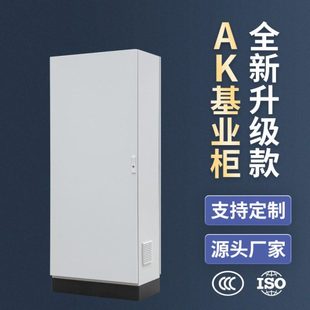 易构仿威图柜PLC机柜控制柜ip55出口动力柜AK基业柜600*1500*400