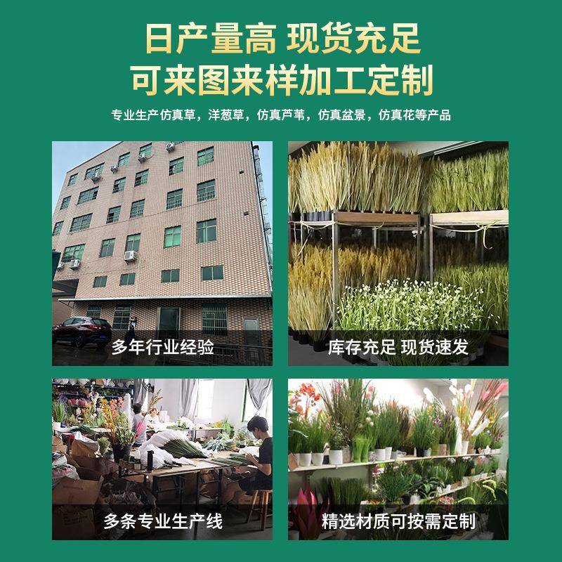 仿真芦苇草盆栽干花洋葱草狗尾巴草假花绿植摆件家居装饰绿植盆栽