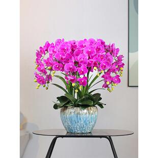 手感保湿蝴蝶兰花高品质假花客厅电视柜餐桌摆设件兰花大盆栽