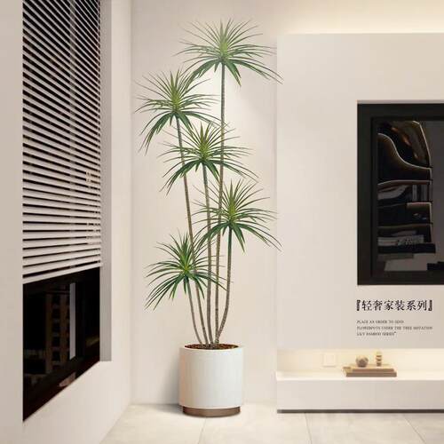 绿植假植物轻奢客厅装饰树室内大型盆栽龙血树落地摆件仿西辰