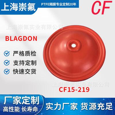 BLAGDON现货15-219橡胶膜片