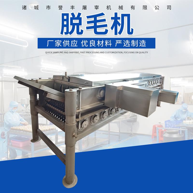 全自动家禽卧式脱毛机高效不锈钢脱毛设备屠宰鸡鸭鹅升降脱毛机