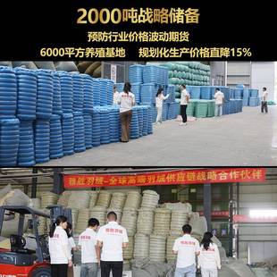 50灰鸭绒羽绒沙发抱枕羽绒被 原料 羽绒靠枕鸭绒被芯被子鸭绒枕头