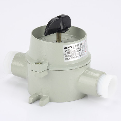 防爆开关 防爆照明开关 防爆开关墙壁 SW-10/220V 380V
