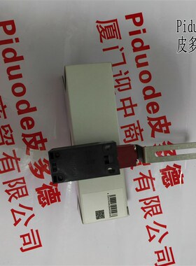 D4NS-9AF D4NS-9BF D4NS-9EF D4NS-2AF-SJ D4NS-4AF-SJ安全门开关